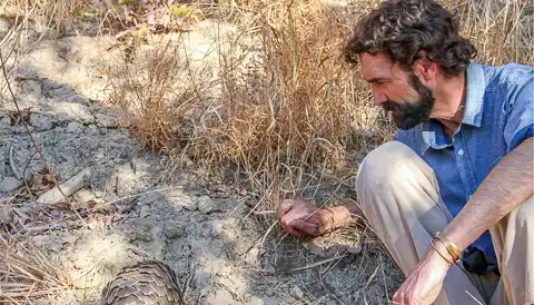 Professor Ray Jansen - African Pangolin Working Group
