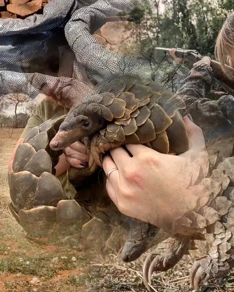 Tony Park - International Author