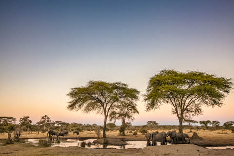 Tony Park - Books of Africa